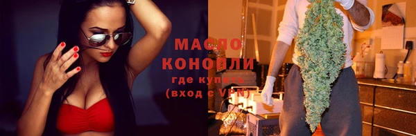 apvp Гусев