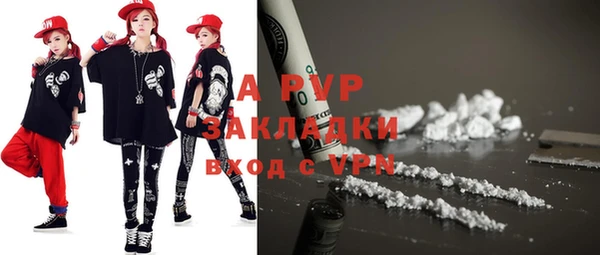apvp Гусев