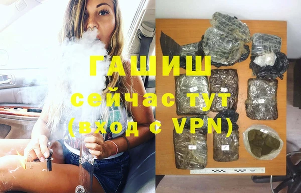 apvp Гусев