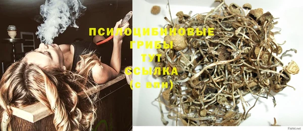 не бодяженный Гусь-Хрустальный