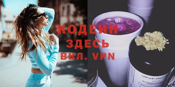 apvp Гусев